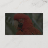 Carte De Visite Animal de perroquet (Dos)