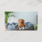 Carte De Visite Animal Pet Influencer Full Photo QR Code (Devant)