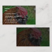 Carte De Visite Animal petit de poule (Devant / Derrière)