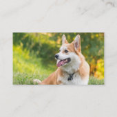 Carte De Visite Animal photo moderne (Dos)