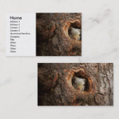 Carte De Visite Animal - Squirl - I'm not shy I'm an introvert (Devant / Derrière)