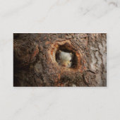 Carte De Visite Animal - Squirl - I'm not shy I'm an introvert (Dos)