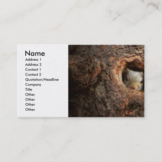 Carte De Visite Animal - Squirl - I'm not shy I'm an introvert (Devant)