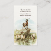 Carte De Visite Animaux Chèvres Art Vintage (Dos)