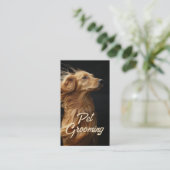 Carte De Visite Animaux de compagnie Salon Boutique Afgan Hound Po (Debout devant)