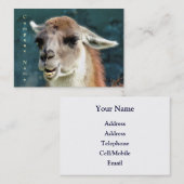 CARTE DE VISITE ANIMAUX SAUVAGES - GUANACO (Devant / Derrière)