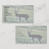 Carte De Visite Antilope de Blackbuck (Devant / Derrière)