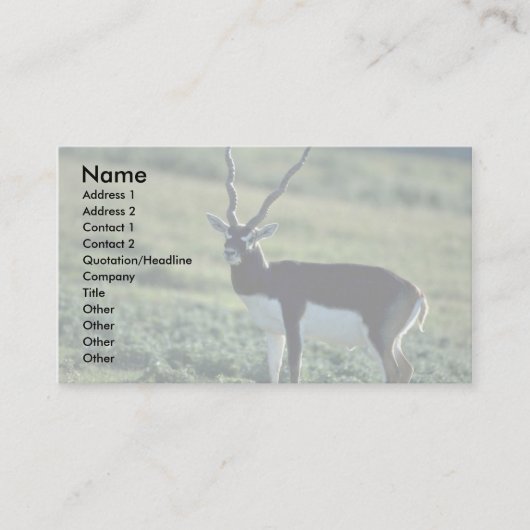 Carte De Visite Antilope de Blackbuck (Devant)
