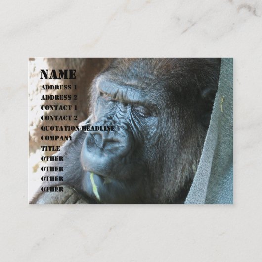 Carte De Visite Ape hood ~ Japonais Gorilla Manger (Devant)