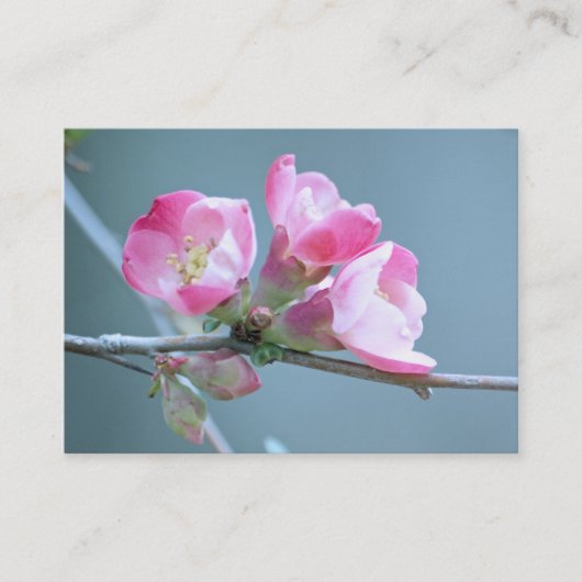 Carte De Visite Apple Blossom #P0358 Mini impression (Devant)