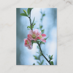Carte De Visite Apple Blossom #P0365 Mini impression