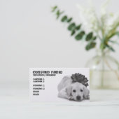 Carte De Visite Approvisionnement d'animal familier/Groomer/etc. (Debout devant)