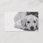 Carte De Visite Approvisionnement d'animal familier/Groomer/etc. (Dos)