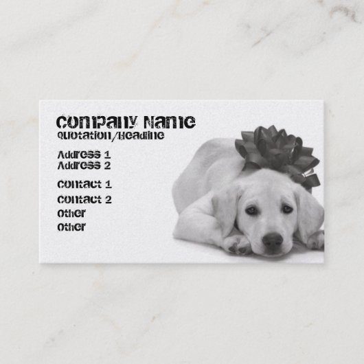 Carte De Visite Approvisionnement d'animal familier/Groomer/etc. (Devant)
