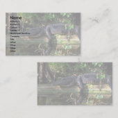 Carte De Visite Après-midi d'alligator, marais, la Floride (Devant / Derrière)