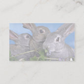 Carte De Visite Apricot et Rex bleu (Dos)