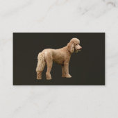 Carte De Visite Apricot Poodle (Dos)