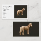 Carte De Visite Apricot Poodle (Devant / Derrière)
