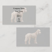 Carte De Visite Apricot Poodle (Devant / Derrière)