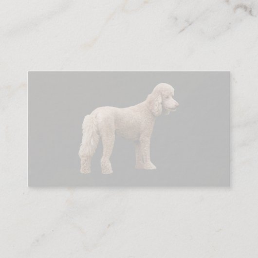 Carte De Visite Apricot Poodle (Dos)