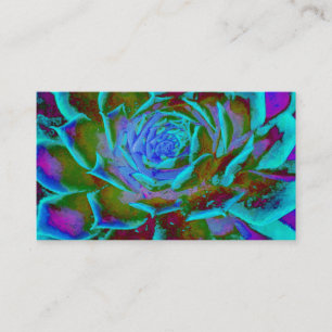 Carte De Visite Aquamarine et Succulente Verte Sedum Rosette