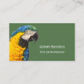 Carte De Visite Aquarelle bleu et or macaw (Devant)