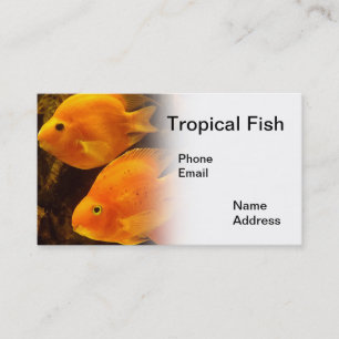 Carte De Visite Aquarium avec de beaux poissons oranges tropicaux