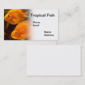Carte De Visite Aquarium avec de beaux poissons oranges tropicaux (Devant / Derrière)