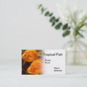 Carte De Visite Aquarium avec de beaux poissons oranges tropicaux (Debout devant)