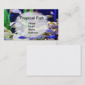 Carte De Visite Aquarium avec de beaux poissons tropicaux (Devant / Derrière)