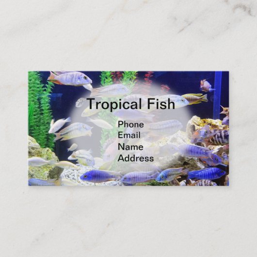 Carte De Visite Aquarium avec de beaux poissons tropicaux (Devant)
