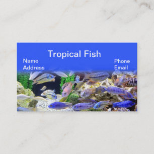 Carte De Visite Aquarium avec de beaux poissons tropicaux colorés
