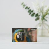 Carte De Visite Ara (Debout devant)