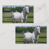 Carte de visite arabe de cheval (Devant / Derrière)
