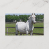 Carte de visite arabe de cheval (Dos)