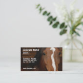 Carte de visite Arabe de cheval (Debout devant)