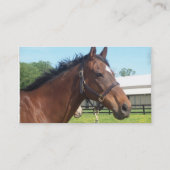 Carte de visite Arabe vigilant de cheval (Dos)