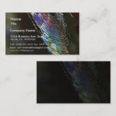 Carte De Visite Araignée (Devant / Derrière)