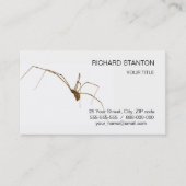 Carte De Visite Araignée (Devant)