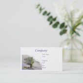 CARTE DE VISITE ARBRE (Debout devant)