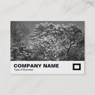 Carte De Visite Arbre de Magnolia en Blossom (B&W)