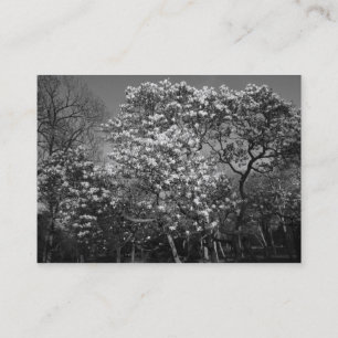 Carte De Visite Arbre de Magnolia en Fleur (B&W)