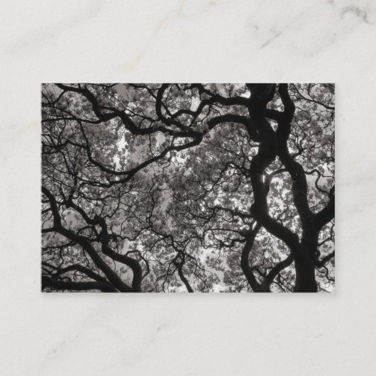 Carte De Visite Arbre de Magnolia en fleurs 02 (Devant)