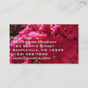 Carte De Visite Arbre de Myrte de Crêpe Floral Magenta