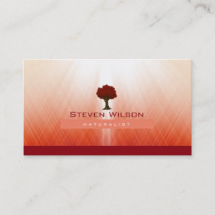 Carte De Visite Arbre élégant Red Nature Rays Jardin Paysage