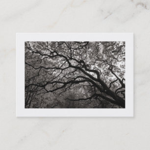Carte De Visite Arbre Magnolia en Fleur 01 (Bordé)