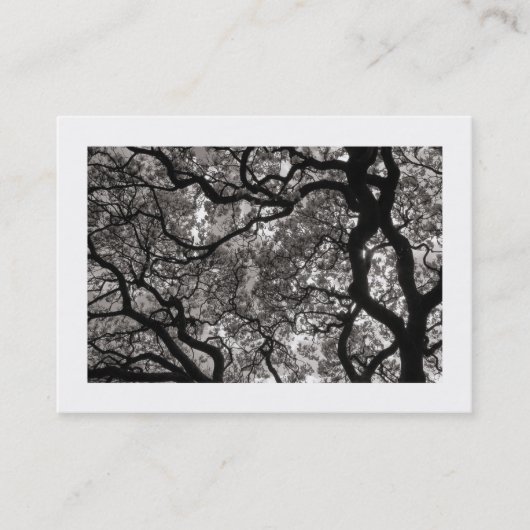 Carte De Visite Arbre Magnolia en Fleur 02 (Bordé) (Devant)