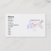 Carte De Visite Arbre Phylogénétique De La Vie Vous Êtes Ici (Devant)