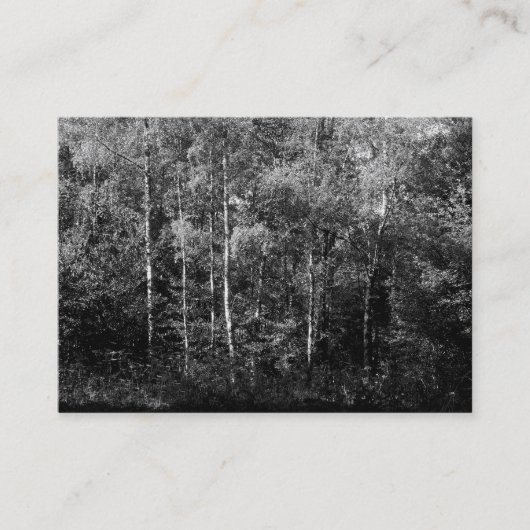Carte De Visite Arbres à bouleau d'argent B&W, Mini photo (Devant)