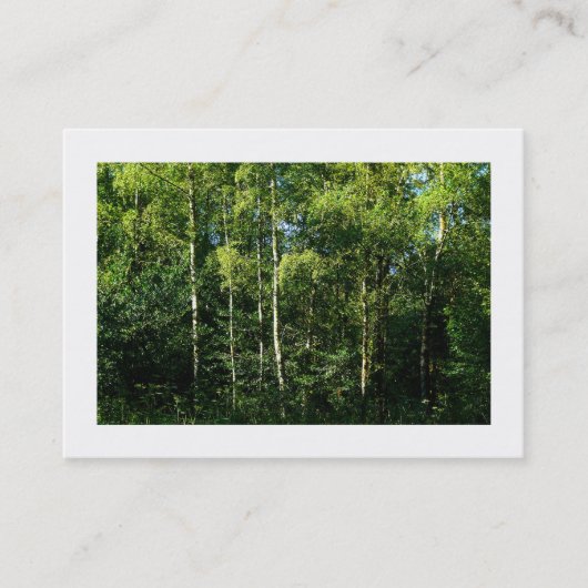 Carte De Visite Arbres à bouleau d'argent, Mini photo (Devant)